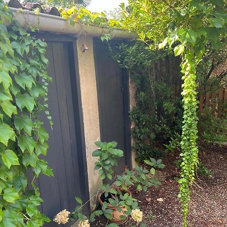 Appartement Cosy Avec Jardin Quartier Calme Toulouse Buitenkant foto
