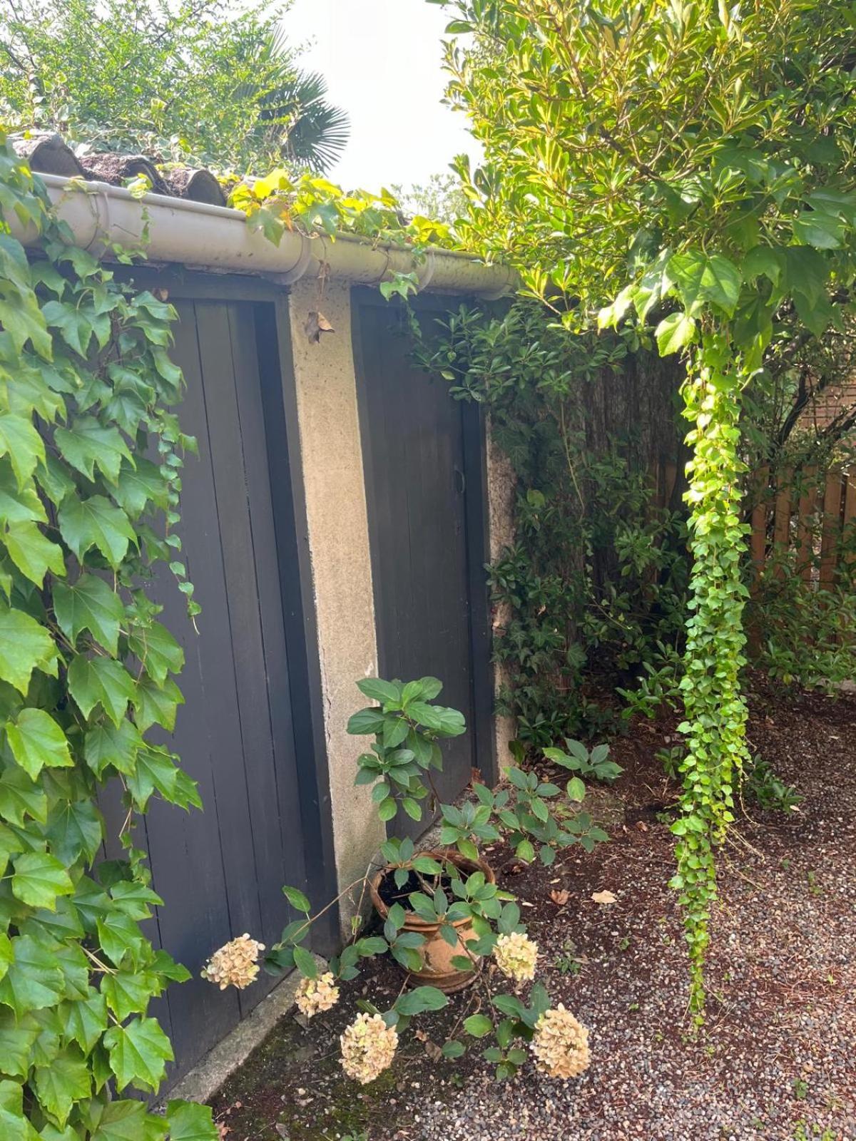 Appartement Cosy Avec Jardin Quartier Calme Toulouse Buitenkant foto